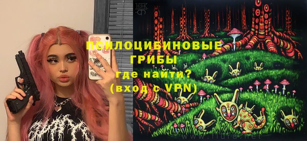 ALPHA-PVP Богородицк