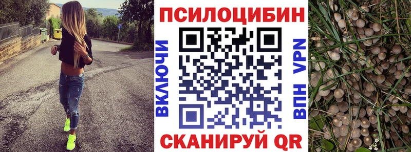 Псилоцибиновые грибы прущие грибы  Купить где  Вольск 